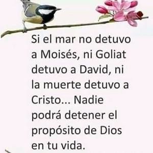 Meet your Posher, Anny